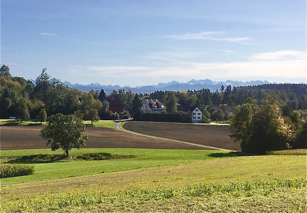 Akquisition einer Baulandparzelle in Zollikerberg